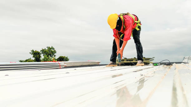 Roof Coating Services in Beecher, MI