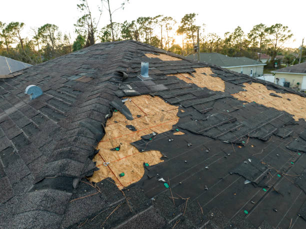 Best Storm Damage Roof Repair  in Beecher, MI